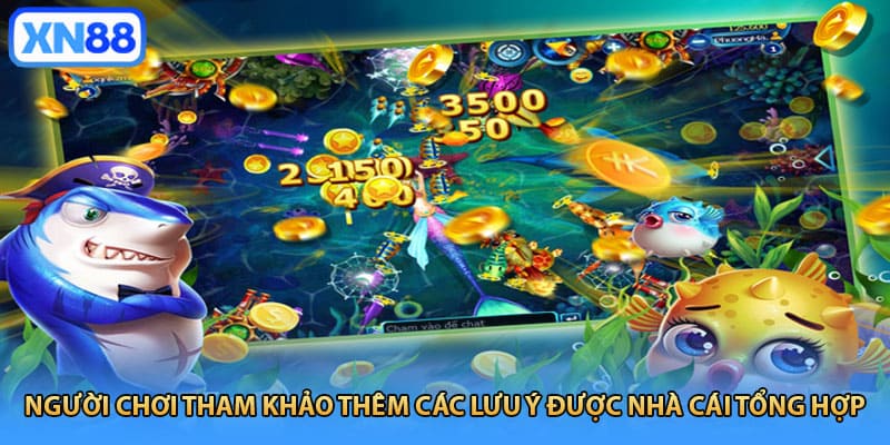 Người chơi tham khảo thêm các lưu ý được nhà cái tổng hợp